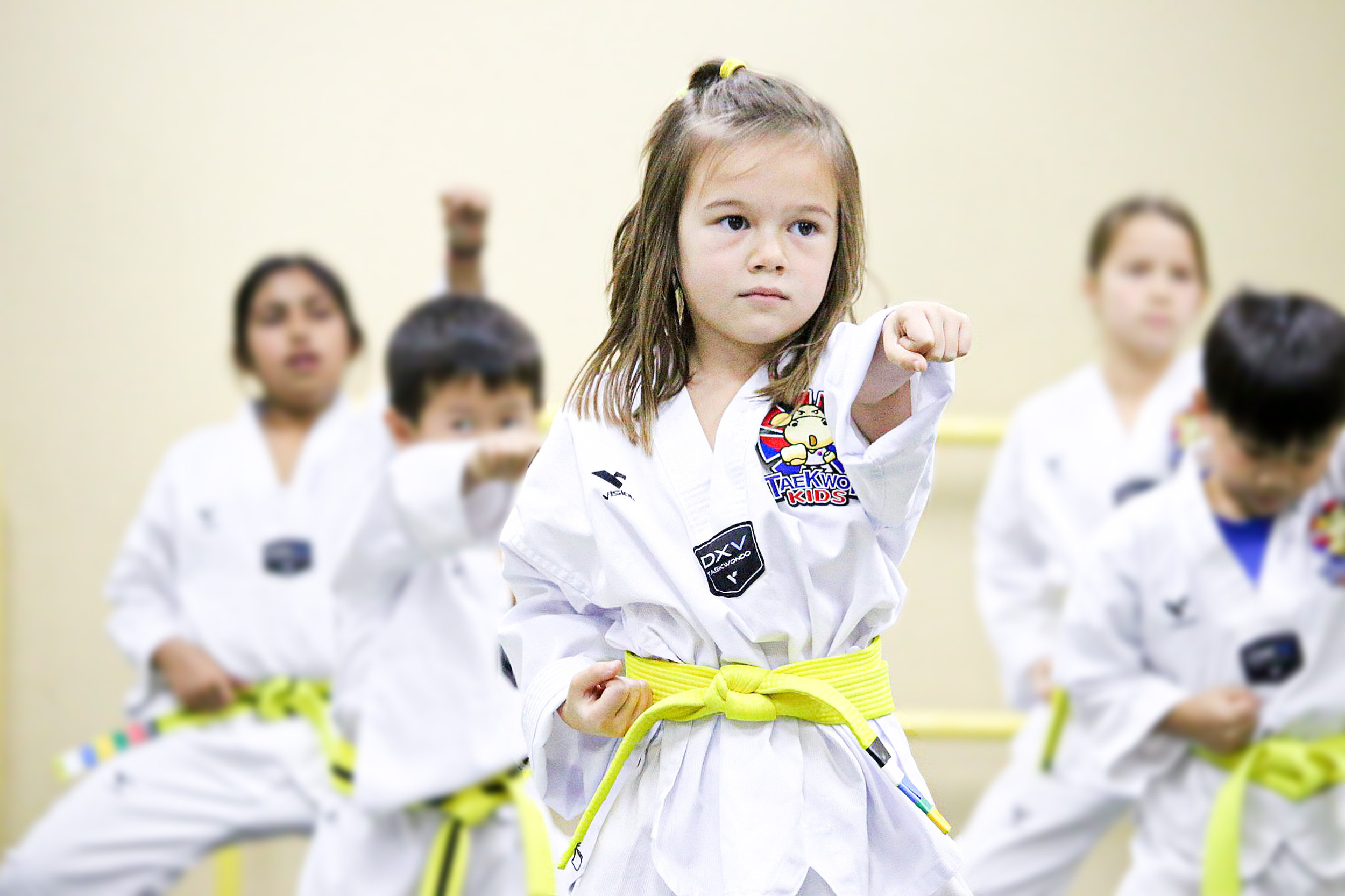Introduction to Taekwondo 4 - 6 years